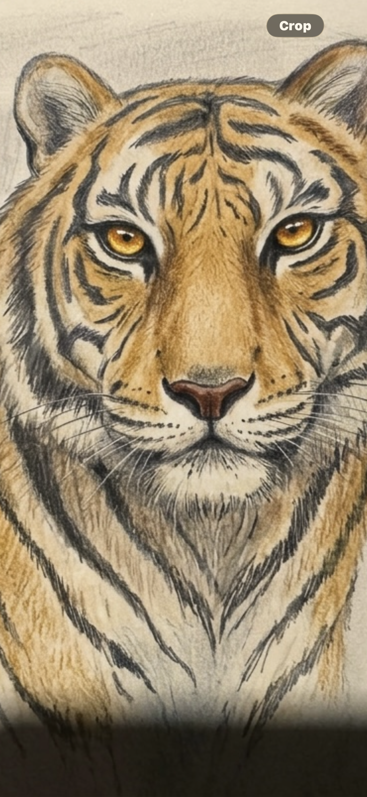 Ride the tiger (digital drawing)