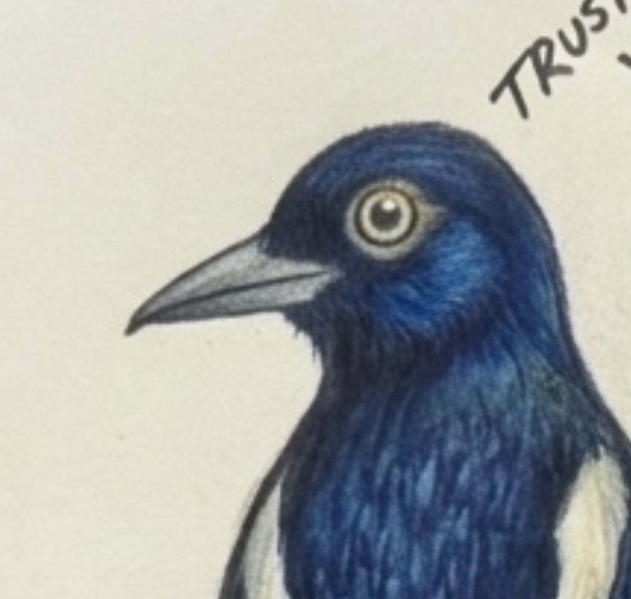 Trust in your wings digital colordrawing